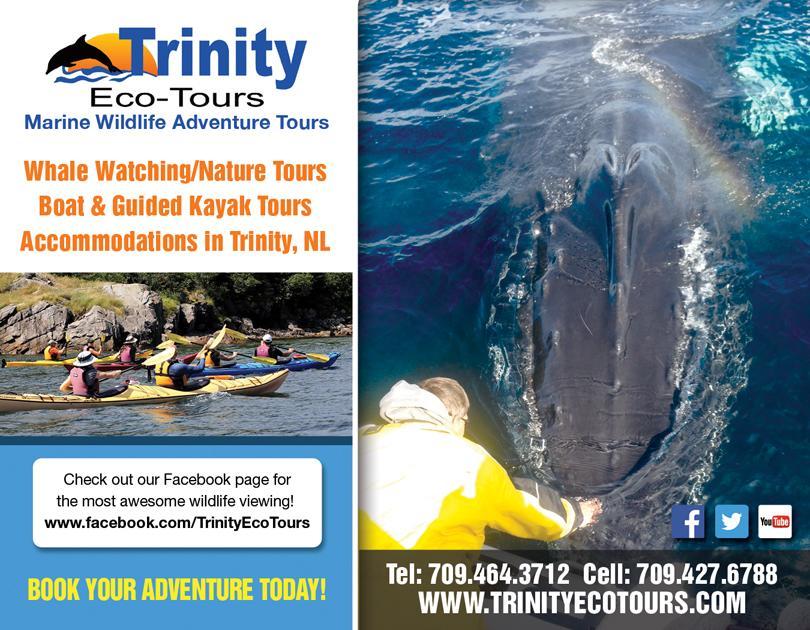 Trinity Eco-Tours Lodge Luaran gambar